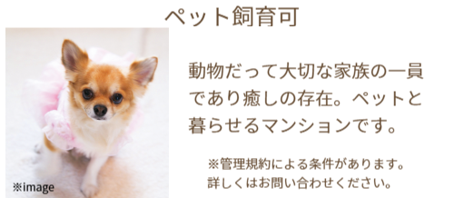 ペット飼育可マンション